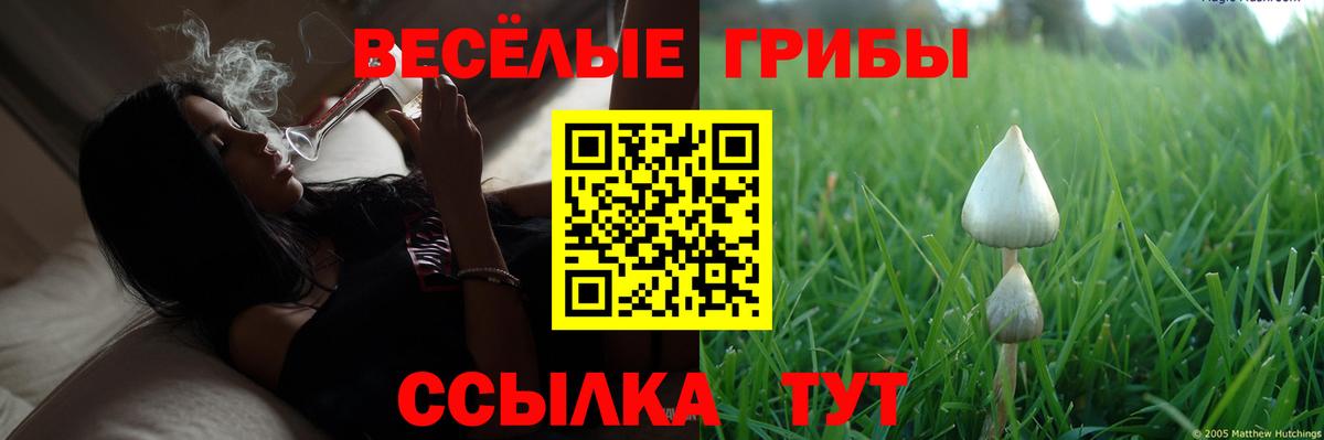 Псилоцибиновые грибы GOLDEN TEACHER  Вход с VPN  Усть-Лабинск  Псилоцибиновые грибы прущие грибы 